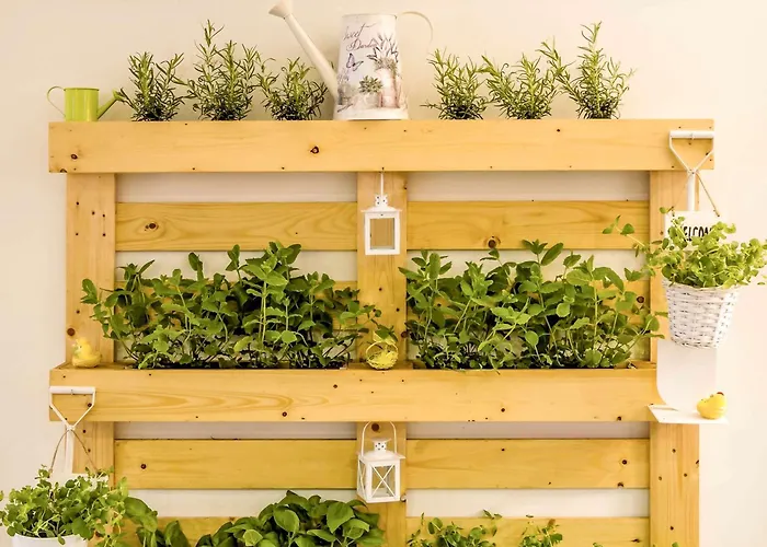 Ibis Centro Sao BentoHotel Porto